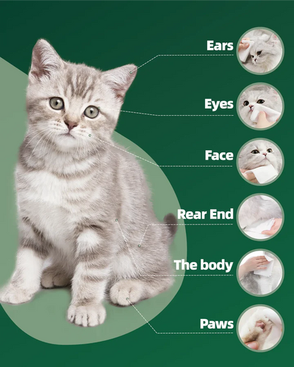 Up to 30% PET WIPES KIT 80wipers*6 Clean Deodorize Moisturize plant-based